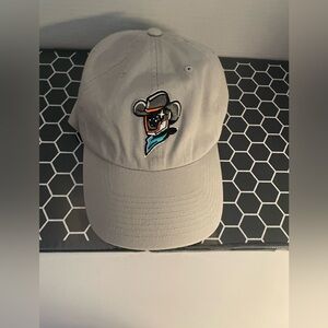 Sugar Land Space Cowboys 47 Brand Hat